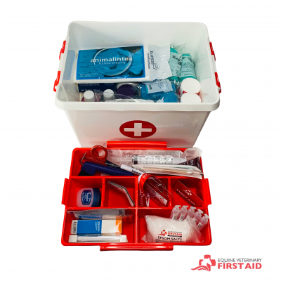 Standard First Aid Kit - Image 4